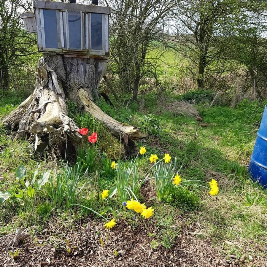 Romantic Escape Luxury Hobbit House With Hot Tub! Sheerness Exteriér fotografie